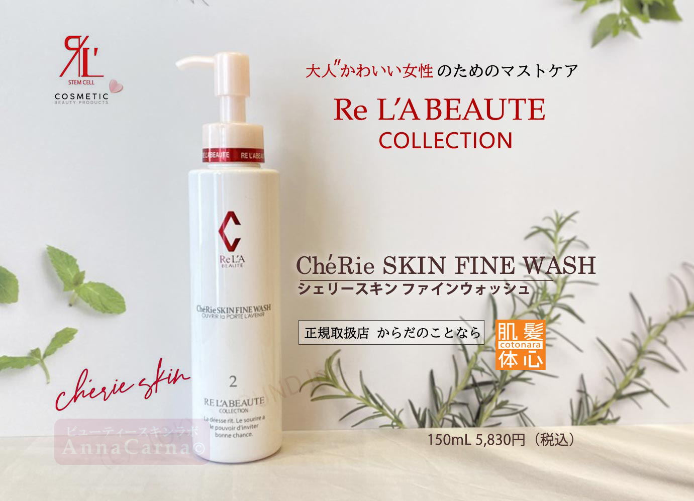 シェリースキンファインウォッシュ（洗顔）｜【リアボーテ正規取扱販売店 】肌と頭皮のお悩みに 幹細胞フェイシャル美容専門店 ビューティースキンラボ AnnaCarna〈からだのことなら〉銀座線・外苑前・表参道駅・青山一丁目駅｜クレアスキン・グランスキン・シェリースキン・リアムール・エキスパートローション・エキスパートスタイル・健美草 KEN BI SOU・美顔器 エクラボーテ正規販売｜購入方法・効果・使用方法・保管方法・特徴・違い・値段・ビフォーアフター・ネット販売通販対象外