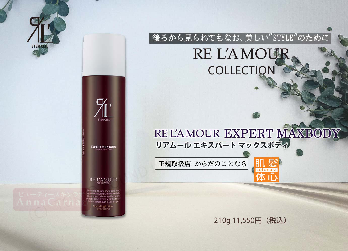 リアムール エキスパートマックスボディ｜【リアボーテ正規取扱販売店 】肌と頭皮のお悩みに 幹細胞フェイシャル美容専門店 ビューティースキンラボ AnnaCarna〈からだのことなら〉銀座線・外苑前・表参道駅・青山一丁目駅｜クレアスキン・グランスキン・シェリースキン・リアムール・エキスパートローション・エキスパートスタイル・健美草 KEN BI SOU・美顔器 エクラボーテ正規販売｜購入方法・効果・使用方法・保管方法・特徴・違い・値段・ビフォーアフター・ネット販売通販対象外