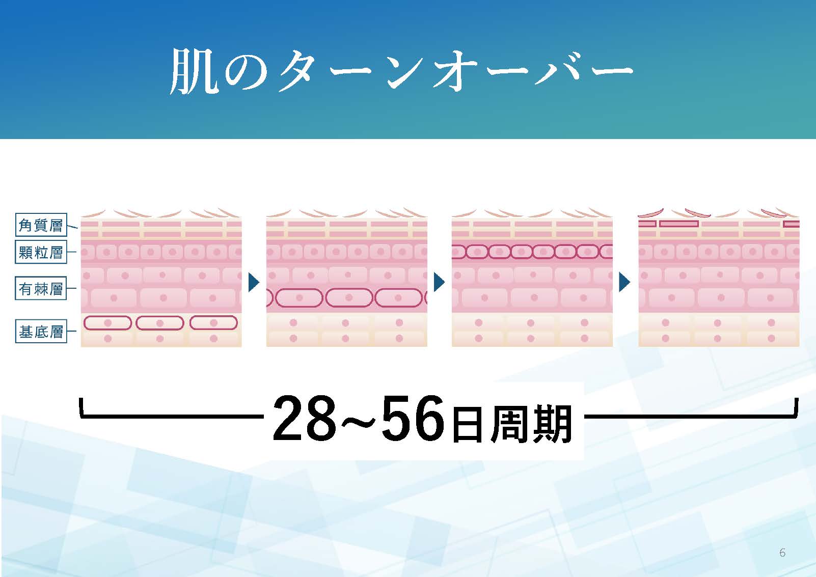 iPS BioCellCare AnnaCarna アンナカルナ【シミケア専科 プラズマ O:Celloオセロ 併設】 ≪高濃度ヒト幹細胞培養液/iPSフェイシャルエステサロン≫ 肌質改善☆年齢肌☆小顔矯正☆シミ取り専門◆シミ取り放題×プラズマミストシャワーコースが人気◆芸能人ご用達コスメ「リアボーテ」正規取扱店◆リアボーテクレアスキン化粧品・リアボーテグランスキン化粧品・リアボーテシェリースキン化粧品・エキスパートローション・リアムール・健美草｜口コミ・効果・使い方・ビフォーアフター・動画・写真・方法・通販・ネット販売・対象外商品★港区 南青山 銀座線 外苑前駅★青山一丁目駅★個室完備
