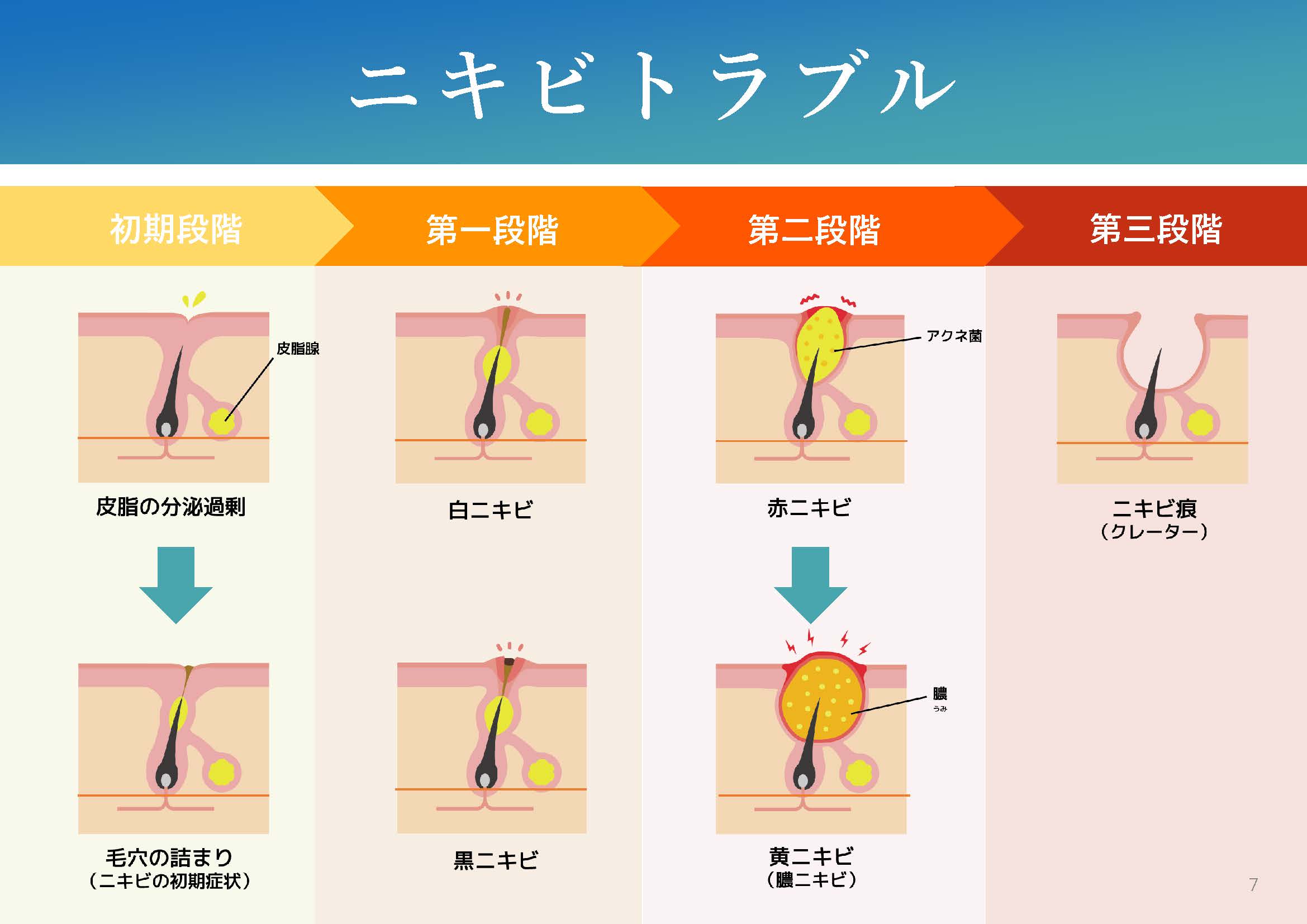 iPS BioCellCare AnnaCarna アンナカルナ【シミケア専科 プラズマ O:Celloオセロ 併設】 ≪高濃度ヒト幹細胞培養液/iPSフェイシャルエステサロン≫ 肌質改善☆年齢肌☆小顔矯正☆シミ取り専門◆シミ取り放題×プラズマミストシャワーコースが人気◆芸能人ご用達コスメ「リアボーテ」正規取扱店◆リアボーテクレアスキン化粧品・リアボーテグランスキン化粧品・リアボーテシェリースキン化粧品・エキスパートローション・リアムール・健美草｜口コミ・効果・使い方・ビフォーアフター・動画・写真・方法・通販・ネット販売・対象外商品★港区 南青山 銀座線 外苑前駅★青山一丁目駅★個室完備