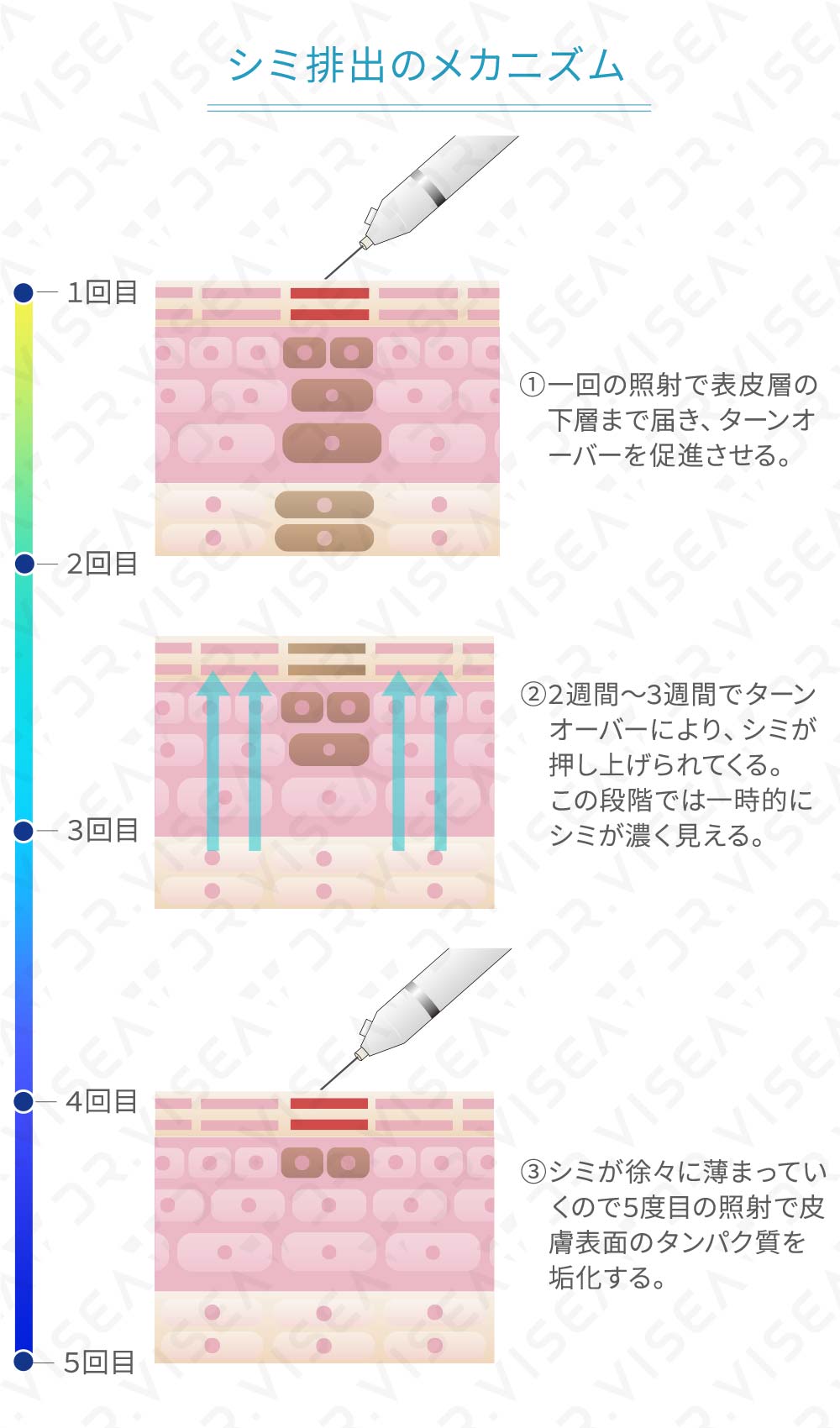 iPS BioCellCare AnnaCarna アンナカルナ【シミケア専科 プラズマ O:Celloオセロ 併設】 ≪高濃度ヒト幹細胞培養液/iPSフェイシャルエステサロン≫ 肌質改善☆年齢肌☆小顔矯正☆シミ取り専門◆シミ取り放題×プラズマミストシャワーコースが人気◆芸能人ご用達コスメ「リアボーテ」正規取扱店◆リアボーテクレアスキン化粧品・リアボーテグランスキン化粧品・リアボーテシェリースキン化粧品・エキスパートローション・リアムール・健美草｜口コミ・効果・使い方・ビフォーアフター・動画・写真・方法・通販・ネット販売・対象外商品★港区 南青山 銀座線 外苑前駅★青山一丁目駅★個室完備