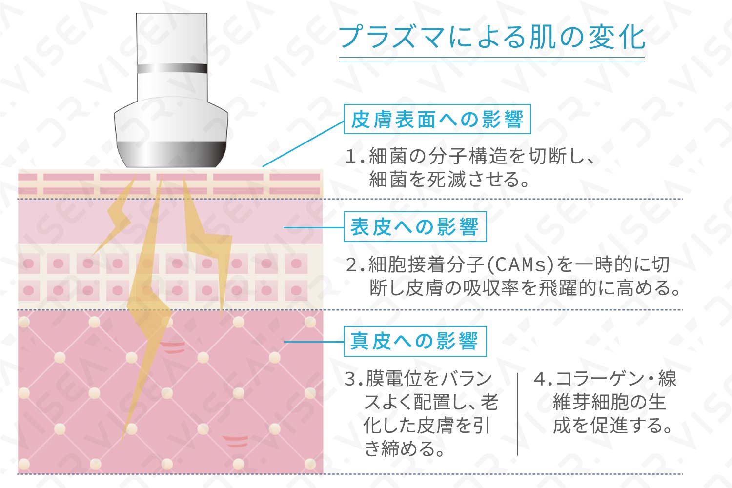 iPS BioCellCare AnnaCarna アンナカルナ【シミケア専科 プラズマ O:Celloオセロ 併設】 ≪高濃度ヒト幹細胞培養液/iPSフェイシャルエステサロン≫ 肌質改善☆年齢肌☆小顔矯正☆シミ取り専門◆シミ取り放題×プラズマミストシャワーコースが人気◆芸能人ご用達コスメ「リアボーテ」正規取扱店◆リアボーテクレアスキン化粧品・リアボーテグランスキン化粧品・リアボーテシェリースキン化粧品・エキスパートローション・リアムール・健美草｜口コミ・効果・使い方・ビフォーアフター・動画・写真・方法・通販・ネット販売・対象外商品★港区 南青山 銀座線 外苑前駅★青山一丁目駅★個室完備