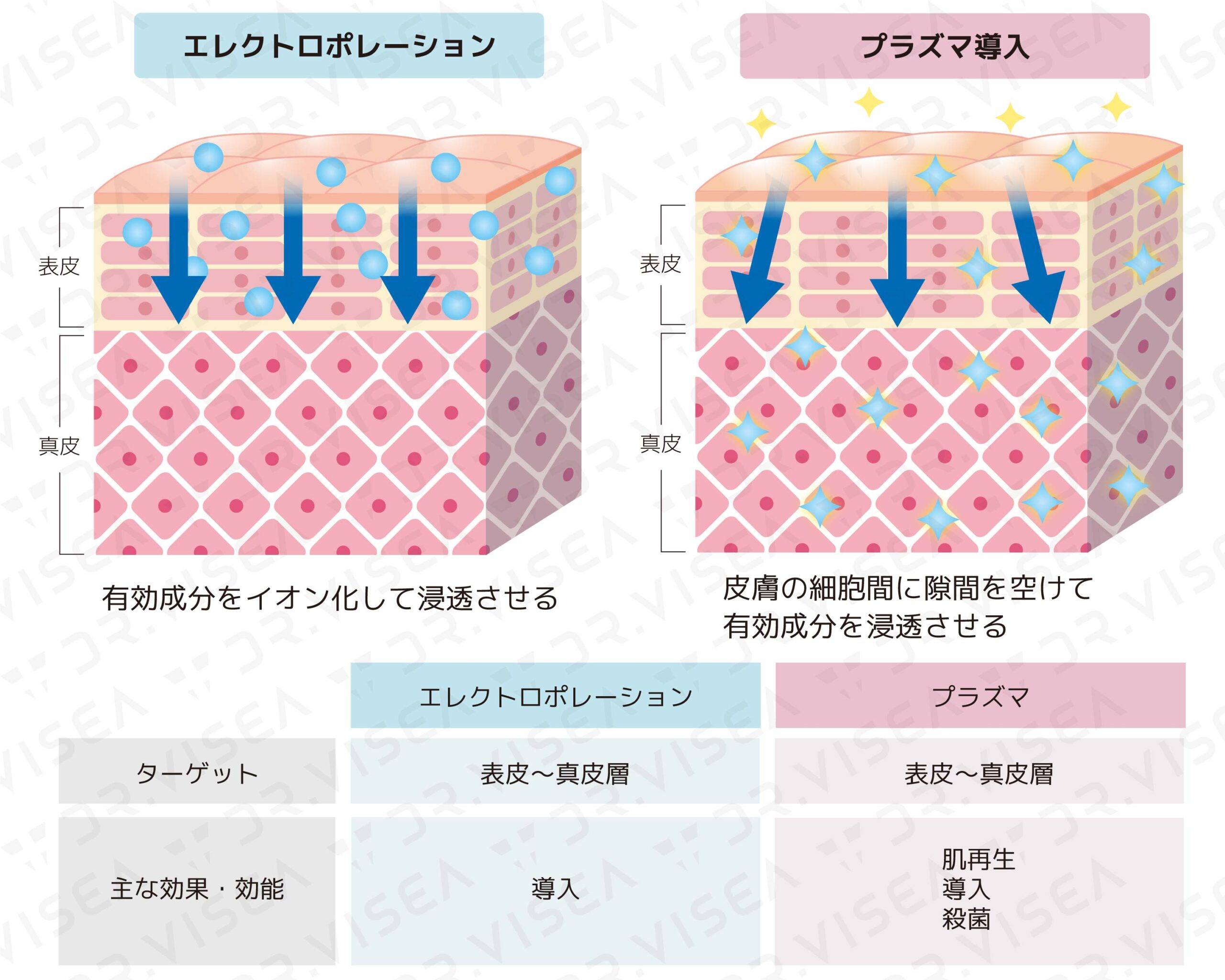 iPS BioCellCare AnnaCarna アンナカルナ【シミケア専科 プラズマ O:Celloオセロ 併設】 ≪高濃度ヒト幹細胞培養液/iPSフェイシャルエステサロン≫ 肌質改善☆年齢肌☆小顔矯正☆シミ取り専門◆シミ取り放題×プラズマミストシャワーコースが人気◆芸能人ご用達コスメ「リアボーテ」正規取扱店◆リアボーテクレアスキン化粧品・リアボーテグランスキン化粧品・リアボーテシェリースキン化粧品・エキスパートローション・リアムール・健美草｜口コミ・効果・使い方・ビフォーアフター・動画・写真・方法・通販・ネット販売・対象外商品★港区 南青山 銀座線 外苑前駅★青山一丁目駅★個室完備