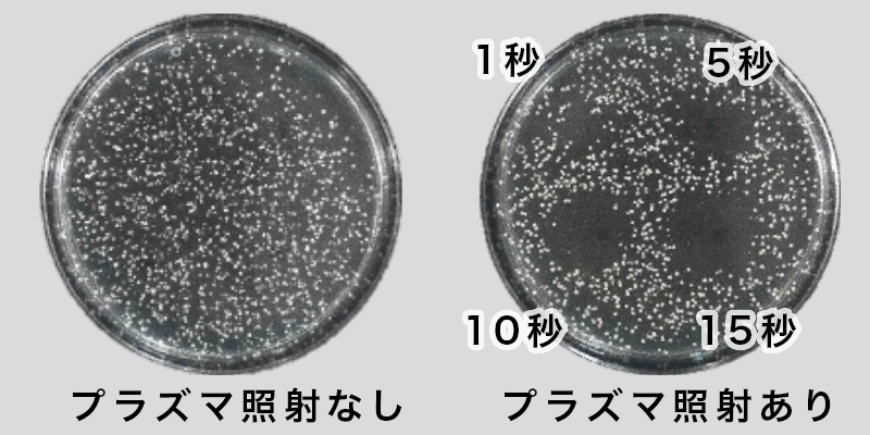 iPS BioCellCare AnnaCarna アンナカルナ【シミケア専科 プラズマ O:Celloオセロ 併設】 ≪高濃度ヒト幹細胞培養液/iPSフェイシャルエステサロン≫ 肌質改善☆年齢肌☆小顔矯正☆シミ取り専門◆シミ取り放題×プラズマミストシャワーコースが人気◆芸能人ご用達コスメ「リアボーテ」正規取扱店◆リアボーテクレアスキン化粧品・リアボーテグランスキン化粧品・リアボーテシェリースキン化粧品・エキスパートローション・リアムール・健美草｜口コミ・効果・使い方・ビフォーアフター・動画・写真・方法・通販・ネット販売・対象外商品★港区 南青山 銀座線 外苑前駅★青山一丁目駅★個室完備