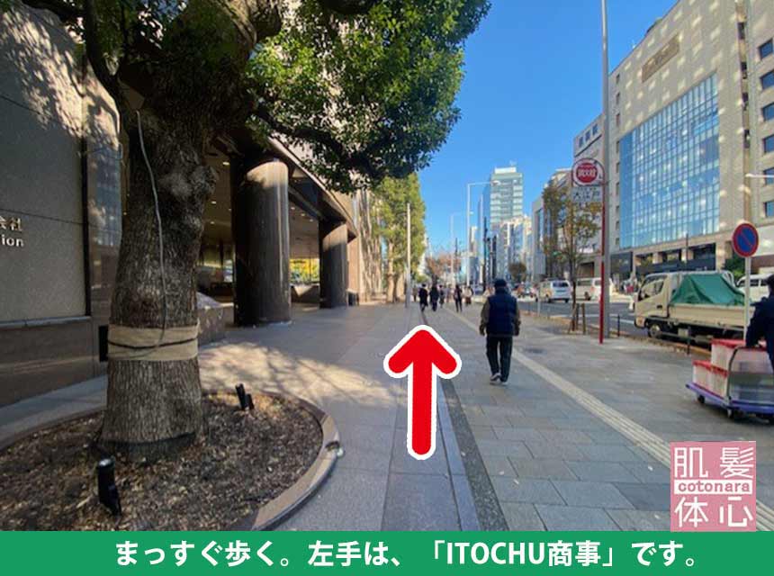 アクセス｜AnnaCarna アンナカルナ/優秀店/シミケア専門／プラズマフェイシャル／O:Celloオセロ導入店／高濃度ヒト幹細胞／iPS細胞エステ／リアボーテ正規取扱店／リアボーテクレアスキン／リアボーテグランスキン／リアボーテシェリースキン／リアムールエキスパートローション／健美草／シミ取り放題／プラズマミストシャワー／肌質改善／小顔矯正／年齢肌ケア／毛穴改善／たるみケア／再生美容／ビフォーアフター／効果実感／使い方／口コミ／動画紹介／写真／方法／通販／ネット販売／オンラインカウンセリング／通販不可製品／正規販売店／芸能人愛用コスメ／幹細胞スキンケア／港区南青山／外苑前駅／青山一丁目駅／エステ個室完備