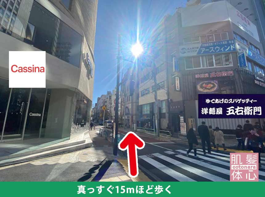 アクセス｜AnnaCarna アンナカルナ/優秀店/シミケア専門／プラズマフェイシャル／O:Celloオセロ導入店／高濃度ヒト幹細胞／iPS細胞エステ／リアボーテ正規取扱店／リアボーテクレアスキン／リアボーテグランスキン／リアボーテシェリースキン／リアムールエキスパートローション／健美草／シミ取り放題／プラズマミストシャワー／肌質改善／小顔矯正／年齢肌ケア／毛穴改善／たるみケア／再生美容／ビフォーアフター／効果実感／使い方／口コミ／動画紹介／写真／方法／通販／ネット販売／オンラインカウンセリング／通販不可製品／正規販売店／芸能人愛用コスメ／幹細胞スキンケア／港区南青山／外苑前駅／青山一丁目駅／エステ個室完備