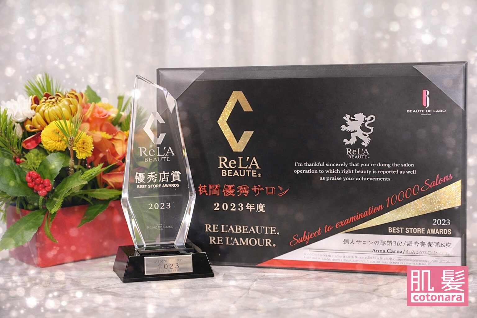 優秀サロン｜AnnaCarna アンナカルナ/優秀店/シミケア専門／プラズマフェイシャル／O:Celloオセロ導入店／高濃度ヒト幹細胞／iPS細胞エステ／リアボーテ正規取扱店／リアボーテクレアスキン／リアボーテグランスキン／リアボーテシェリースキン／リアムールエキスパートローション／健美草／シミ取り放題／プラズマミストシャワー／肌質改善／小顔矯正／年齢肌ケア／毛穴改善／たるみケア／再生美容／ビフォーアフター／効果実感／使い方／口コミ／動画紹介／写真／方法／通販／ネット販売／オンラインカウンセリング／通販不可製品／正規販売店／芸能人愛用コスメ／幹細胞スキンケア／港区南青山／外苑前駅／青山一丁目駅／エステ個室完備