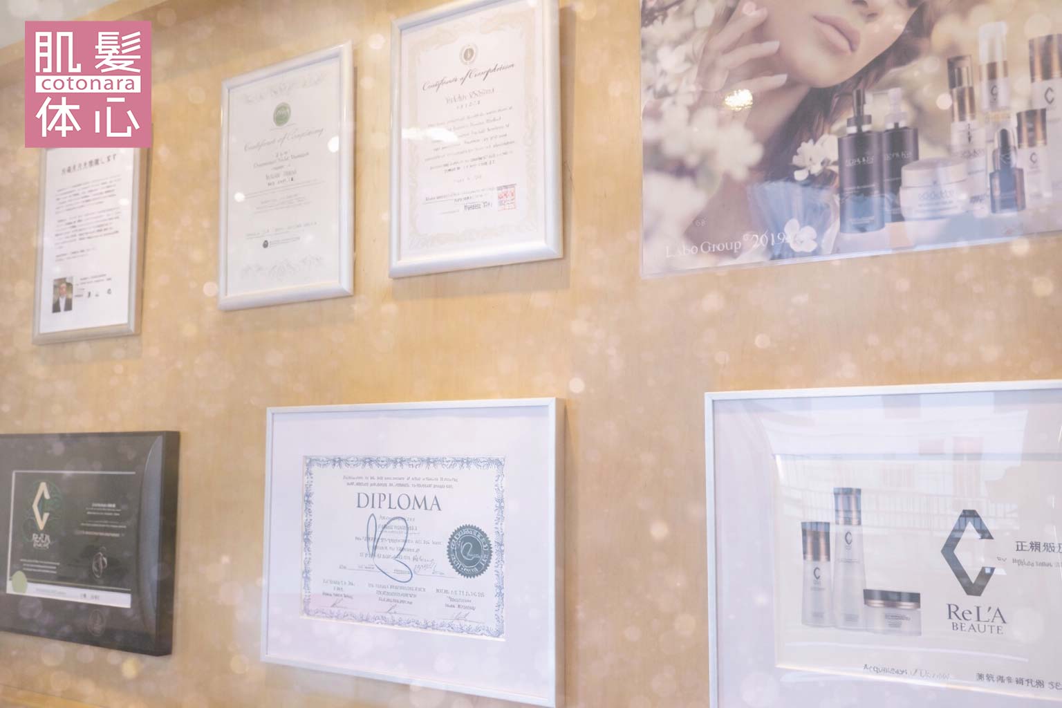 受賞歴｜AnnaCarna アンナカルナ/優秀店/シミケア専門／プラズマフェイシャル／O:Celloオセロ導入店／高濃度ヒト幹細胞／iPS細胞エステ／リアボーテ正規取扱店／リアボーテクレアスキン／リアボーテグランスキン／リアボーテシェリースキン／リアムールエキスパートローション／健美草／シミ取り放題／プラズマミストシャワー／肌質改善／小顔矯正／年齢肌ケア／毛穴改善／たるみケア／再生美容／ビフォーアフター／効果実感／使い方／口コミ／動画紹介／写真／方法／通販／ネット販売／オンラインカウンセリング／通販不可製品／正規販売店／芸能人愛用コスメ／幹細胞スキンケア／港区南青山／外苑前駅／青山一丁目駅／エステ個室完備